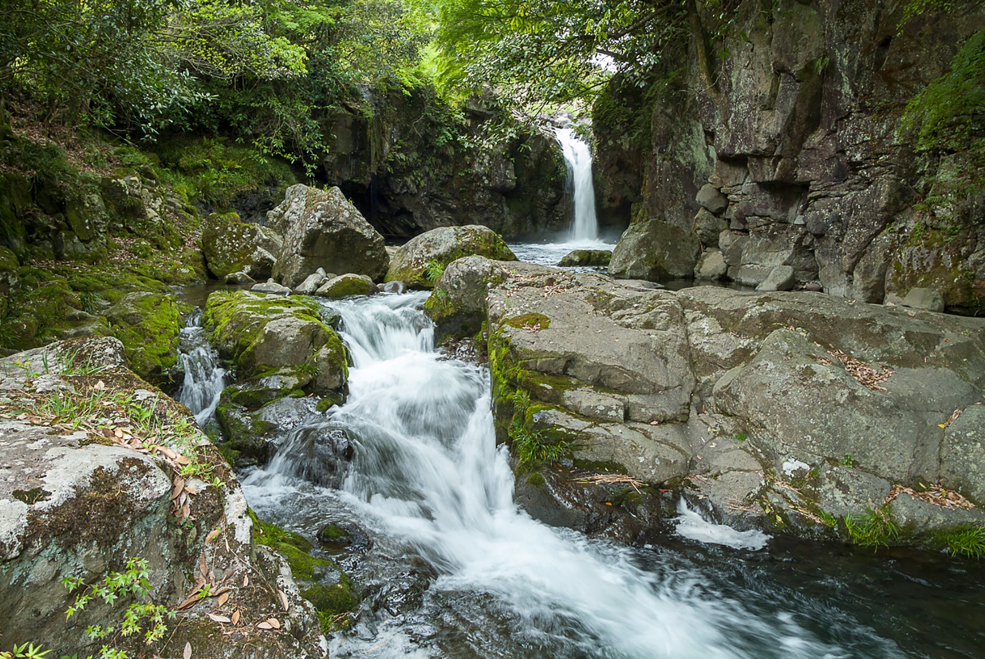 落合の滝 日本遺産 やばけい遊覧 公式サイト 耶馬渓spirits